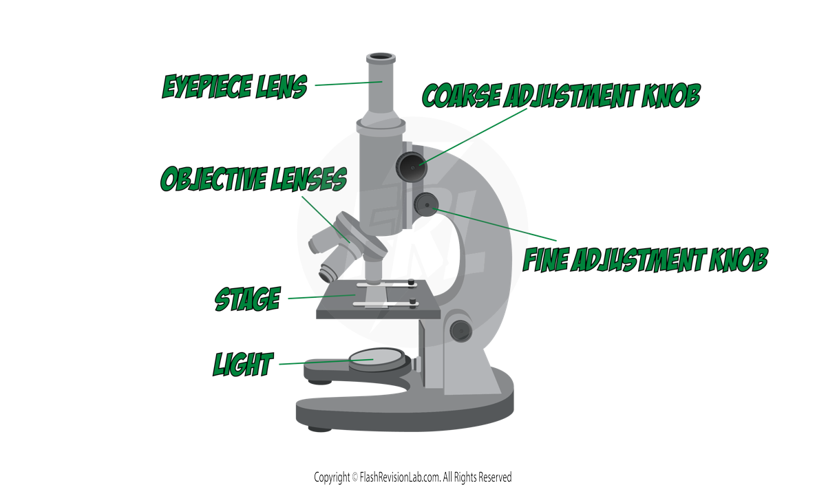 Microscope